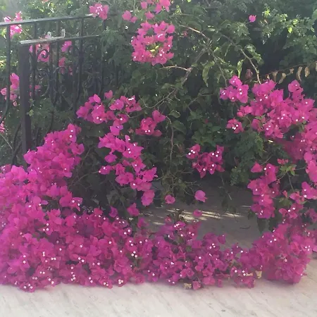 Chic Mediterranean Gem